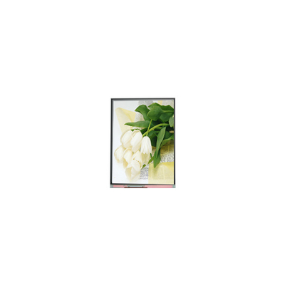 Buen precio 5.5 pulgadas C055SWY2 R0 Panel de pantalla LCD en línea