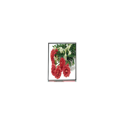 Buen precio 5.5 pulgadas C055SWY2-1 pantalla LCD para teléfono móvil en línea