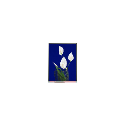 Buen precio Venta caliente 540*960 C054SWN4-0 Pantalla LCD de 5,4 pulgadas en línea