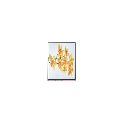 Buen precio C060SWY2-1 6.0 pulgadas 480*854 Panel de pantalla LCD TFT en línea