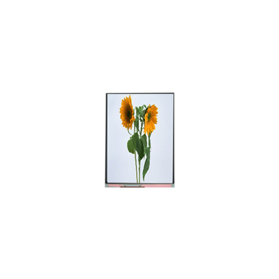 Buen precio 9.0 pulgadas de panel de LCD IVO C090SWT3-0 1024 * 600 módulos de pantalla LCD en línea