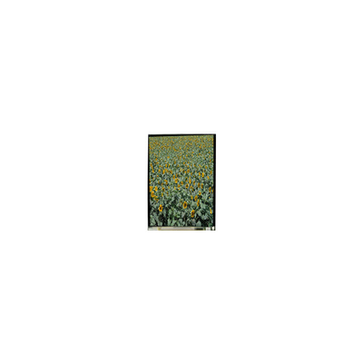 Buen precio 720*1280 LS053K3SX01 5,3 pulgadas de pantalla de LCD TFT pantalla LCD para teléfono móvil en línea