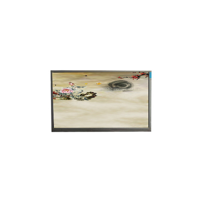 Buen precio P236MWF2 R0 23.6 pulgadas 1920*1080 Pantalla TFT-LCD en línea