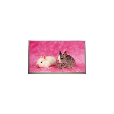 Buen precio Nuevo panel de pantalla LCD de 23.6 pulgadas M236H3-P02 1920*1080 en línea