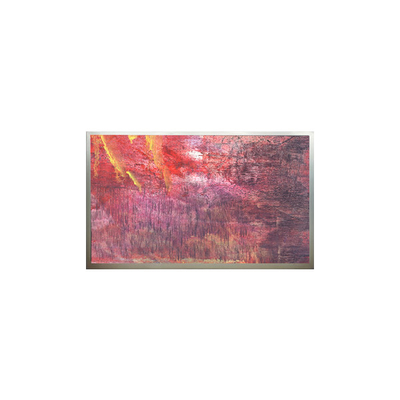 Buen precio Pantalla LCD original de 22.0 pulgadas 1680*1050 con resolución M220Z1-PS3 en línea