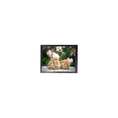 Buen precio Pantalla LCD para portátil de 11,6 pulgadas B116XAK02.0  1366*768 en línea