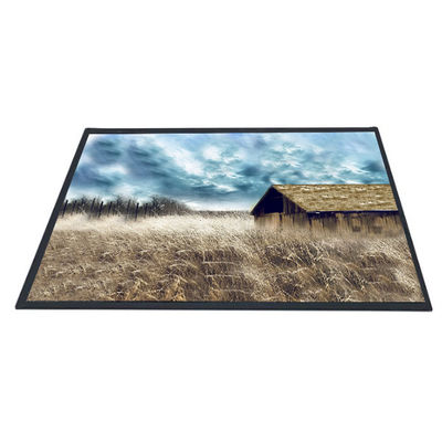 Buen precio Pantalla del panel de la pulgada B101XAN01.2 1366x768 TFT LCD de AUO 10,1 en línea