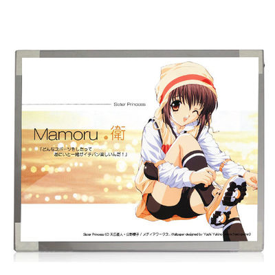 Buen precio M170EP01 V0 1028*1024 TN, conector de 69 pernos normalmente blanco, transmisivo   Pantalla del ordenador portátil del LCD en línea